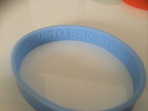 It's cool to be kind armband voor stichting paard in nood